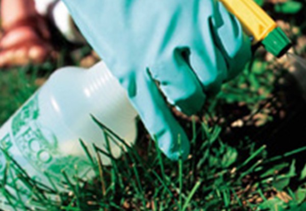 《農(nóng)藥標(biāo)簽二維碼管理“之”規(guī)定》